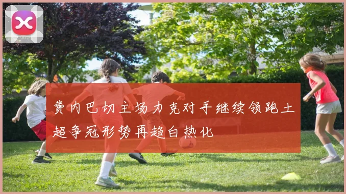 费内巴切主场力克对手继续领跑土超争冠形势再趋白热化