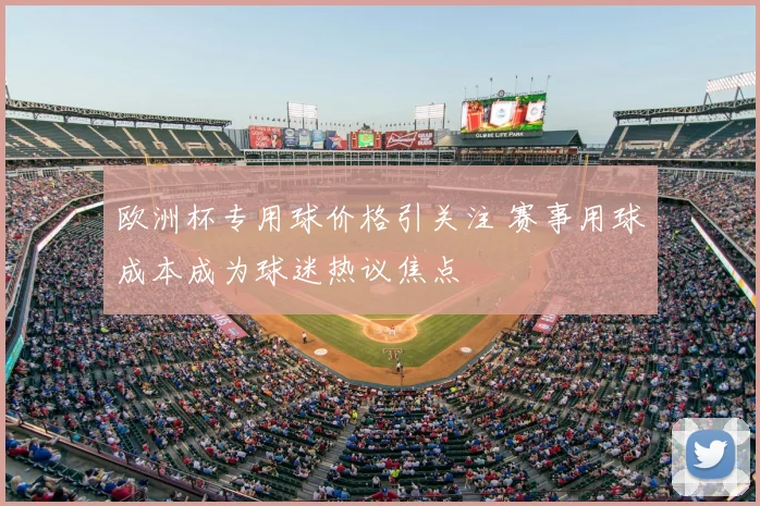 欧洲杯专用球价格引关注 赛事用球成本成为球迷热议焦点