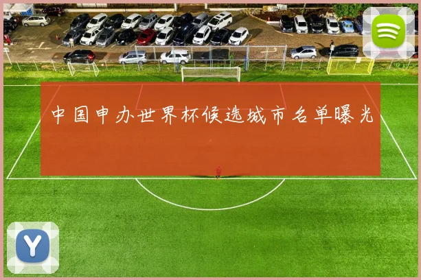 中国申办世界杯候选城市名单曝光