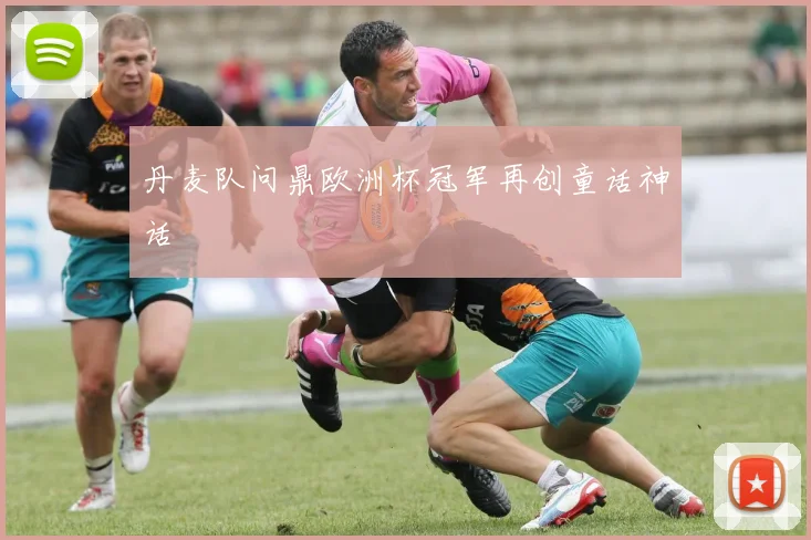 丹麦队问鼎欧洲杯冠军再创童话神话