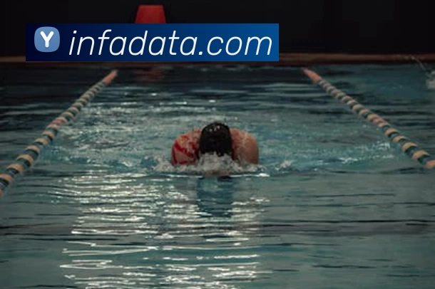 App Interface Preview